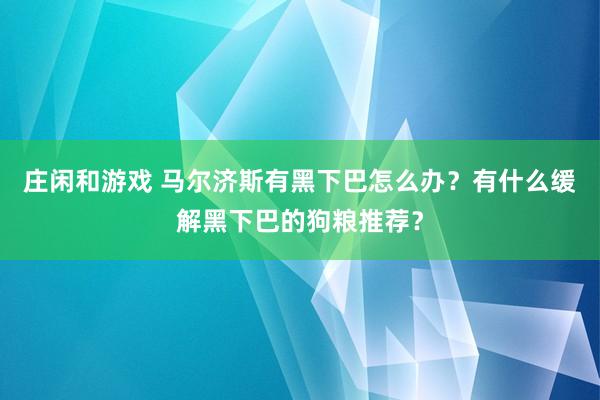 莊閑和游戲 馬爾濟斯有黑下巴怎么辦?有什么緩解黑下巴的狗糧推薦?