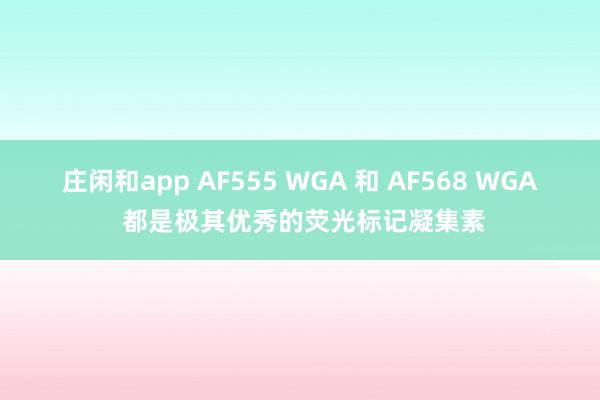 莊閑和app AF555 WGA 和 AF568 WGA 都是極其優秀的熒光標記凝集素