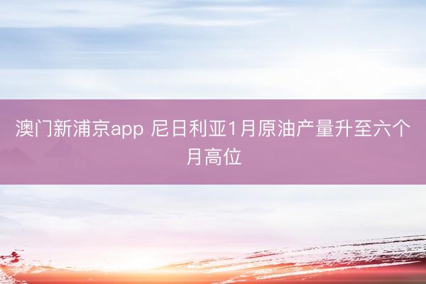 澳門新浦京app 尼日利亞1月原油產(chǎn)量升至六個月高位