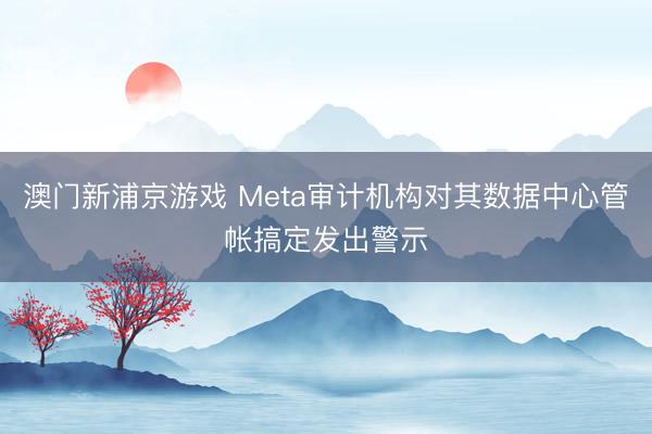 澳門新浦京游戲 Meta審計機(jī)構(gòu)對其數(shù)據(jù)中心管帳搞定發(fā)出警示