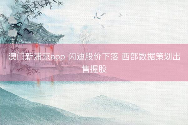 澳門新浦京app 閃迪股價(jià)下落 西部數(shù)據(jù)策劃出售握股