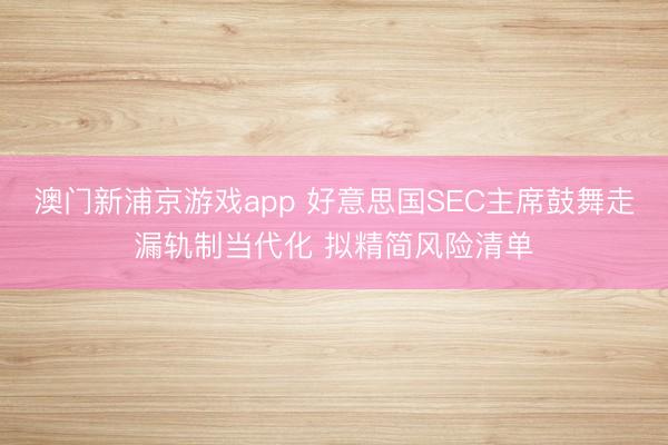 澳門新浦京游戲app 好意思國SEC主席鼓舞走漏軌制當(dāng)代化 擬精簡(jiǎn)風(fēng)險(xiǎn)清單