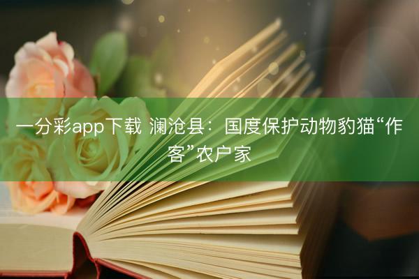 一分彩app下載 瀾滄縣：國度保護動物豹貓“作客”農戶家
