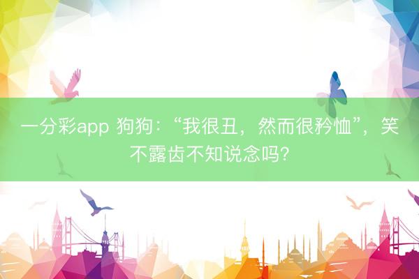 一分彩app 狗狗：“我很丑，然而很矜恤”，笑不露齒不知說念嗎？